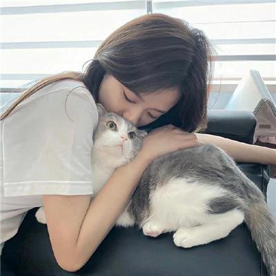 神捕铁飞花之冤冤相报